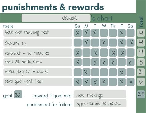 A Starting Point for Rules, Rewards & Punishments